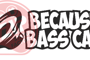 Naljepnica "bass car"