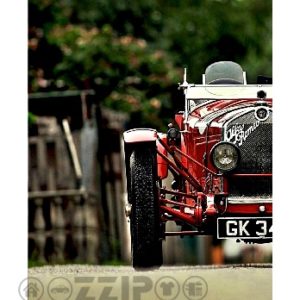 Vintage retro ploča 302